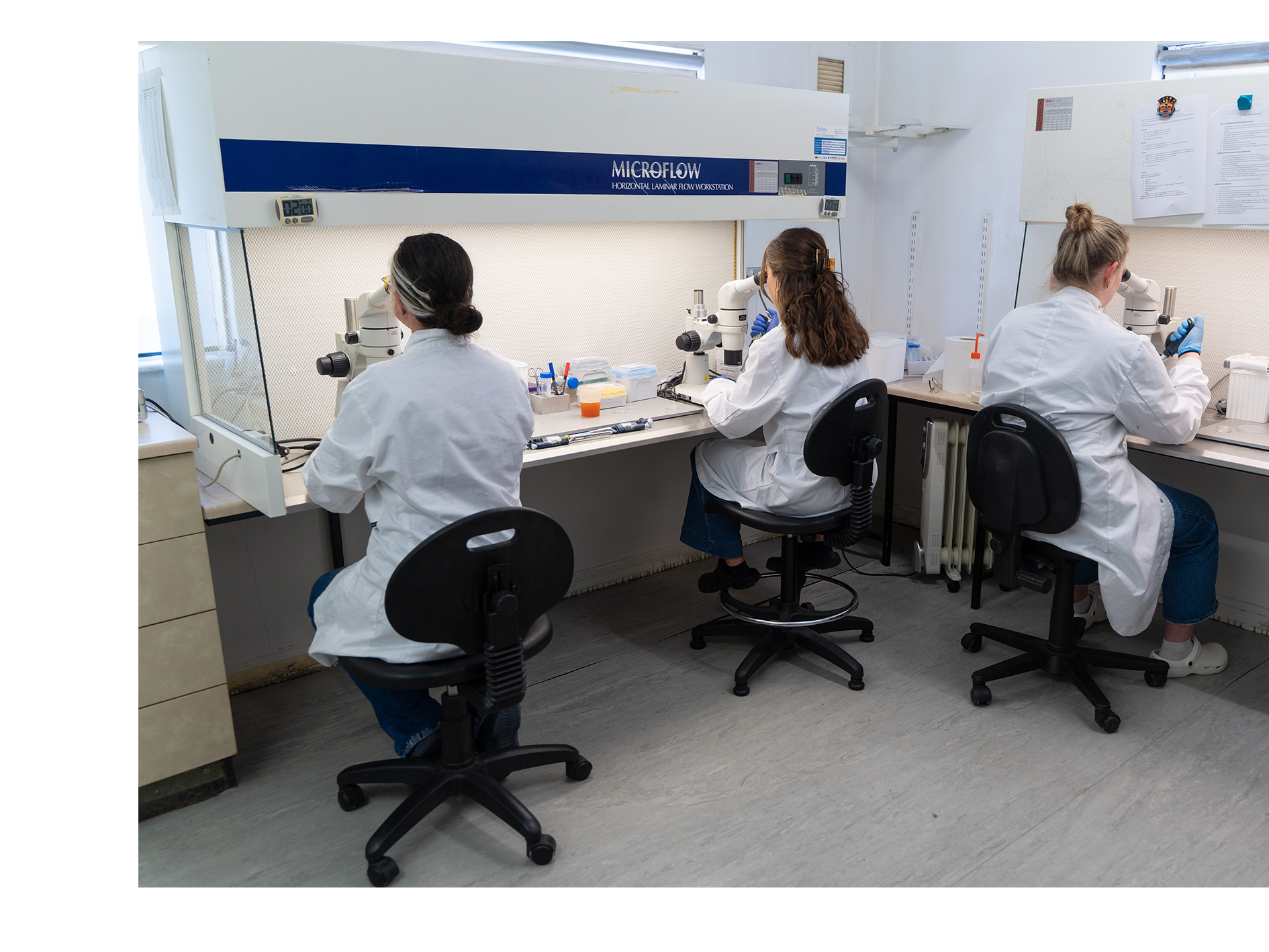 Research at Lyons